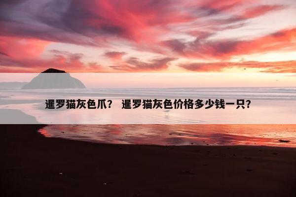暹罗猫灰色爪？ 暹罗猫灰色价格多少钱一只？