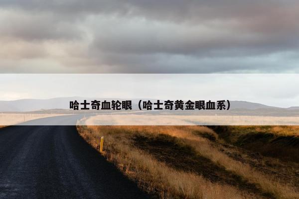 哈士奇血轮眼（哈士奇黄金眼血系）