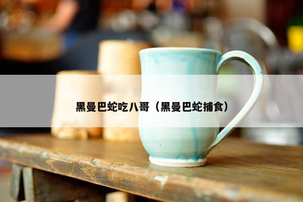 黑曼巴蛇吃八哥（黑曼巴蛇捕食）