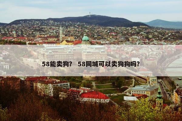 58能卖狗？ 58同城可以卖狗狗吗？