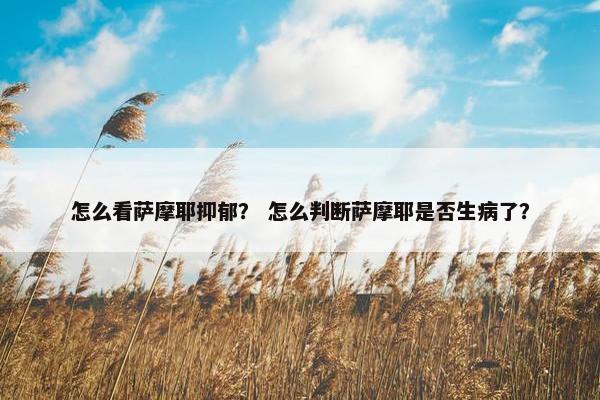 怎么看萨摩耶抑郁？ 怎么判断萨摩耶是否生病了？