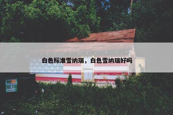 白色标准雪纳瑞，白色雪纳瑞好吗