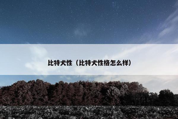 比特犬性（比特犬性格怎么样）