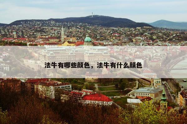 法牛有哪些颜色，法牛有什么颜色