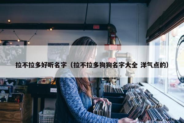 拉不拉多好听名字（拉不拉多狗狗名字大全 洋气点的）