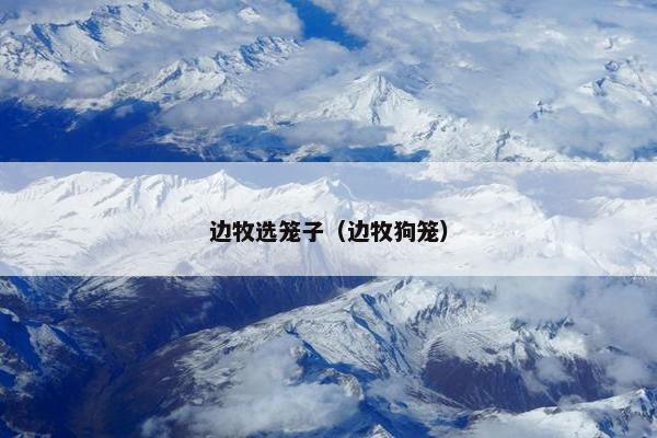 边牧选笼子（边牧狗笼）