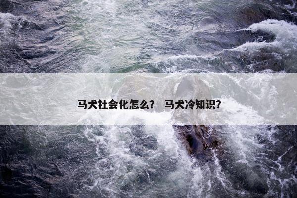 马犬社会化怎么？ 马犬冷知识？