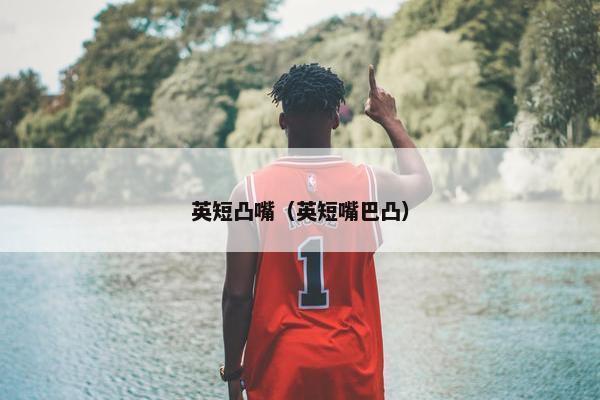 英短凸嘴（英短嘴巴凸）