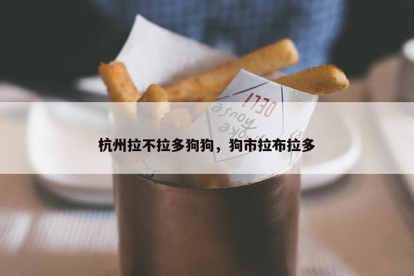 杭州拉不拉多狗狗，狗市拉布拉多