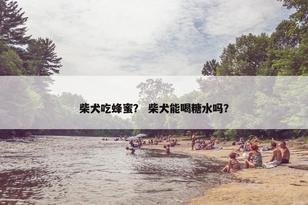 柴犬吃蜂蜜？ 柴犬能喝糖水吗？