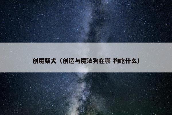 创魔柴犬（创造与魔法狗在哪 狗吃什么）
