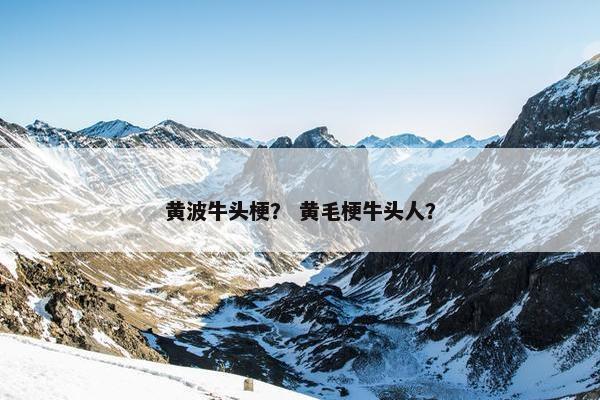 黄波牛头梗？ 黄毛梗牛头人？