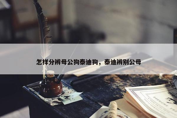 怎样分辨母公狗泰迪狗，泰迪辨别公母
