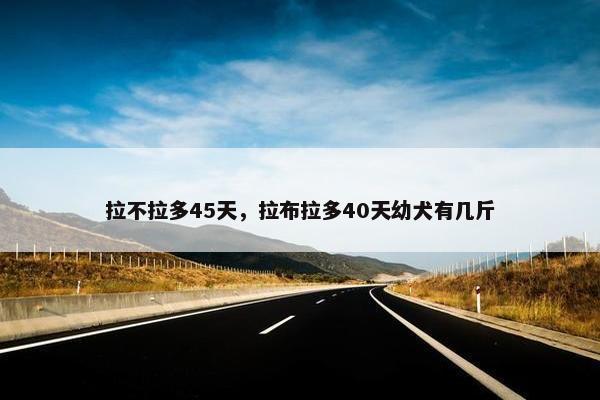 拉不拉多45天，拉布拉多40天幼犬有几斤