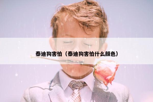 泰迪狗害怕（泰迪狗害怕什么颜色）