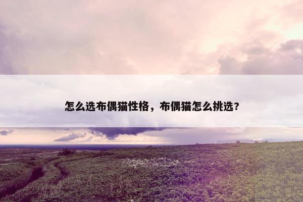 怎么选布偶猫性格，布偶猫怎么挑选?