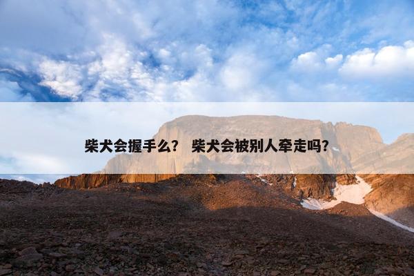 柴犬会握手么？ 柴犬会被别人牵走吗？