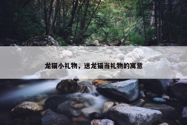 龙猫小礼物，送龙猫当礼物的寓意