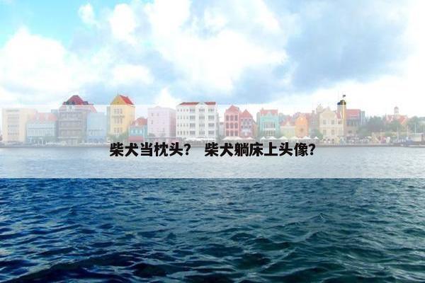 柴犬当枕头？ 柴犬躺床上头像？