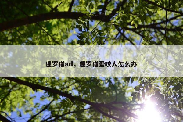 暹罗猫ad，暹罗猫爱咬人怎么办