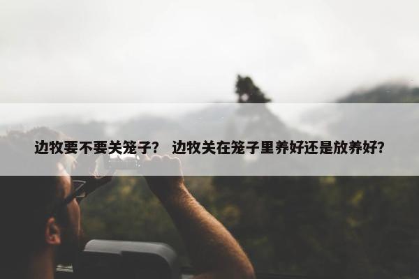 边牧要不要关笼子？ 边牧关在笼子里养好还是放养好？