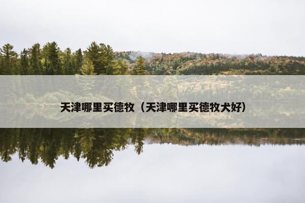 天津哪里买德牧（天津哪里买德牧犬好）