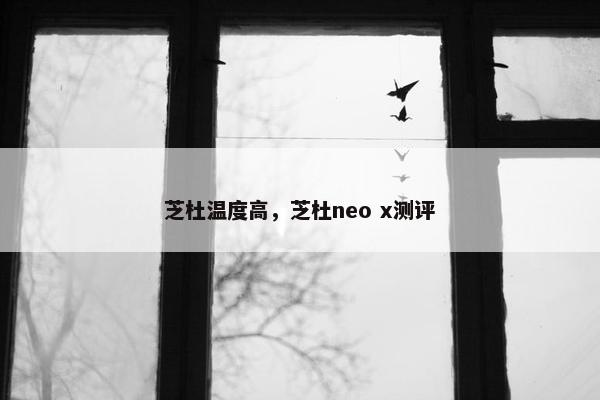 芝杜温度高，芝杜neo x测评