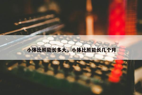 小体比熊能长多大，小体比熊能长几个月