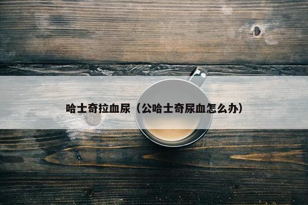 哈士奇拉血尿（公哈士奇尿血怎么办）