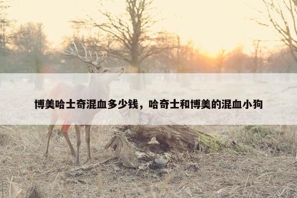 博美哈士奇混血多少钱，哈奇士和博美的混血小狗