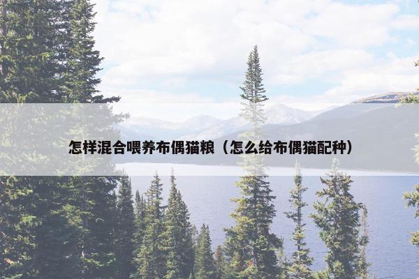怎样混合喂养布偶猫粮（怎么给布偶猫配种）