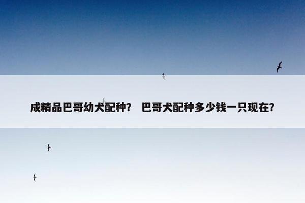 成精品巴哥幼犬配种？ 巴哥犬配种多少钱一只现在？