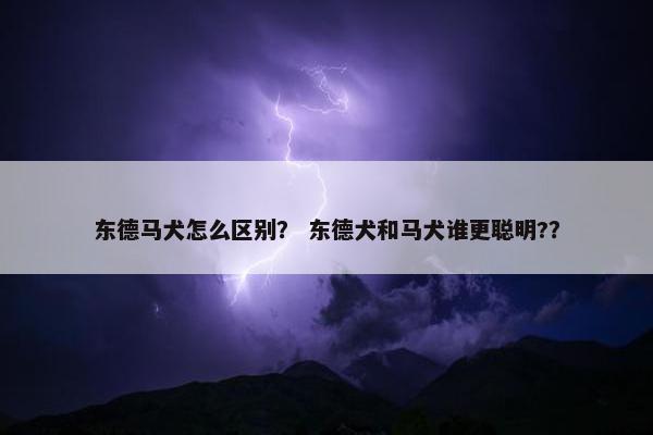 东德马犬怎么区别？ 东德犬和马犬谁更聪明?？
