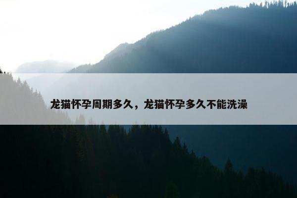 龙猫怀孕周期多久，龙猫怀孕多久不能洗澡