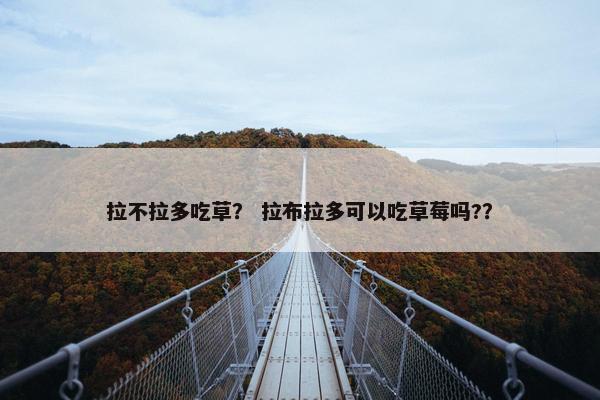 拉不拉多吃草？ 拉布拉多可以吃草莓吗?？