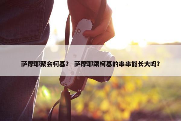 萨摩耶聚会柯基？ 萨摩耶跟柯基的串串能长大吗？