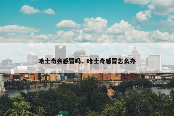 哈士奇会感冒吗，哈士奇感冒怎么办