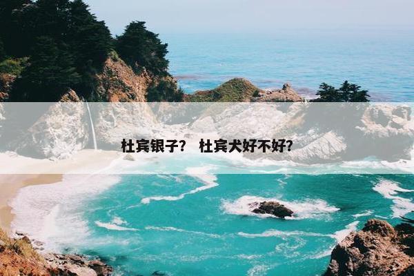杜宾银子？ 杜宾犬好不好？
