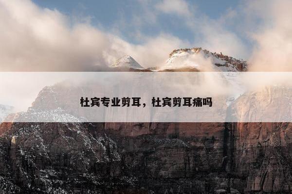杜宾专业剪耳，杜宾剪耳痛吗