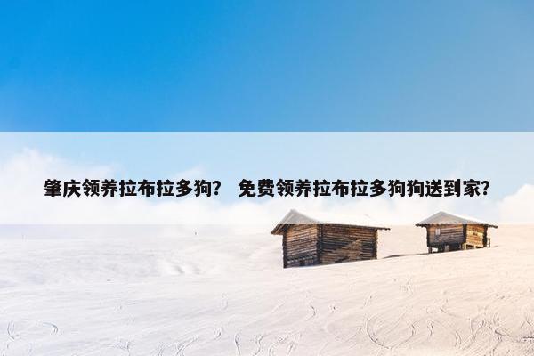 肇庆领养拉布拉多狗？ 免费领养拉布拉多狗狗送到家？