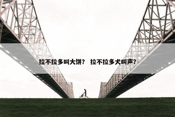 拉不拉多叫大饼？ 拉不拉多犬叫声？