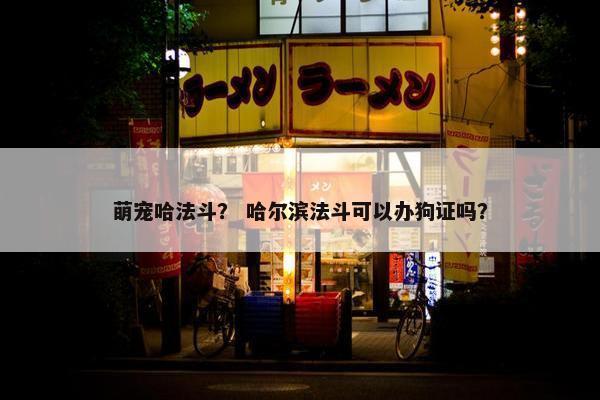 萌宠哈法斗？ 哈尔滨法斗可以办狗证吗？