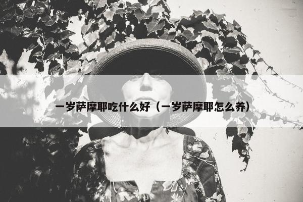 一岁萨摩耶吃什么好（一岁萨摩耶怎么养）