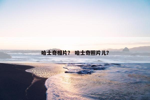 哈士奇相片？ 哈士奇照片儿？