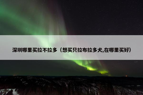 深圳哪里买拉不拉多（想买只拉布拉多犬,在哪里买好）