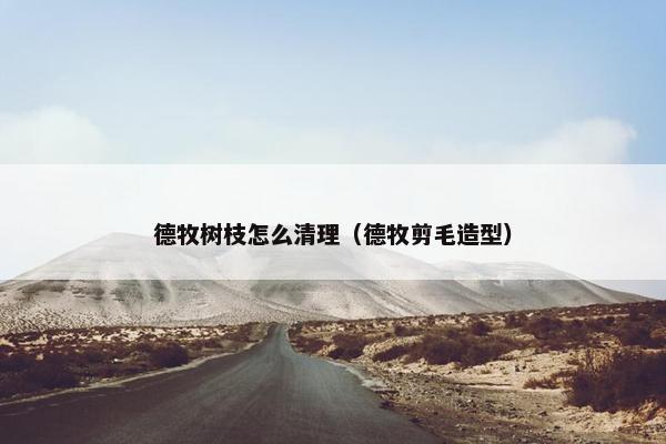 德牧树枝怎么清理（德牧剪毛造型）