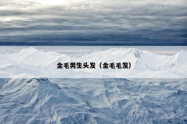 金毛男生头发（金毛毛发）
