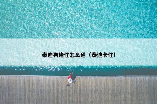 泰迪狗堵住怎么通（泰迪卡住）