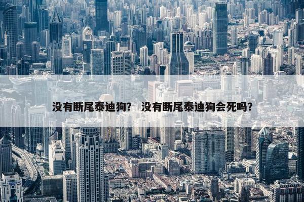 没有断尾泰迪狗？ 没有断尾泰迪狗会死吗？