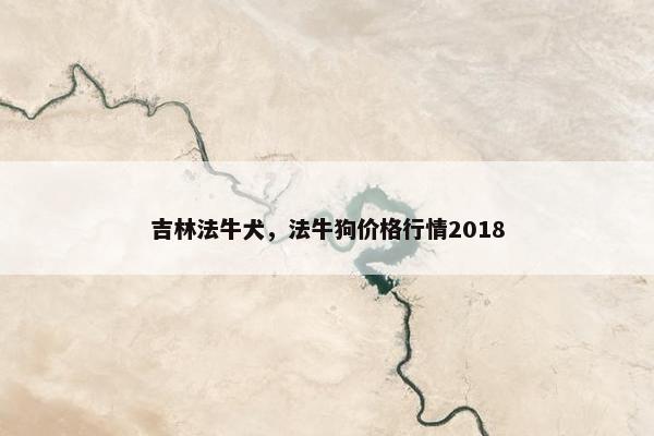 吉林法牛犬，法牛狗价格行情2018